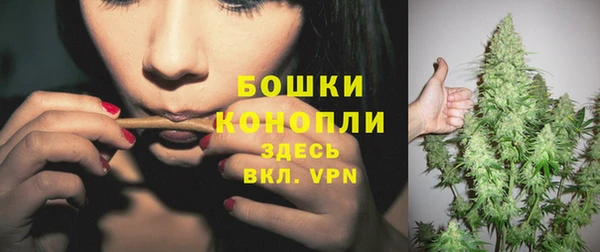 крисы Богданович