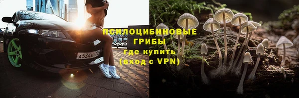 крисы Богданович