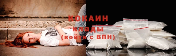 крисы Богданович