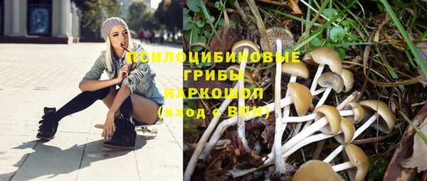 крисы Богданович