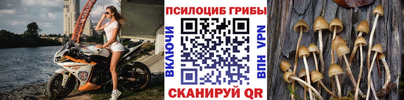 Псилоцибиновые грибы MAGIC MUSHROOMS  Елизаветинская 